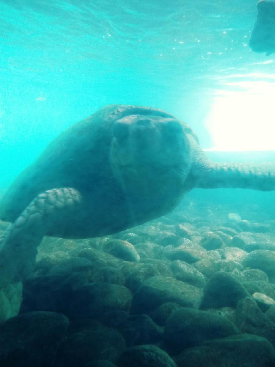 Lindas suítes a uma quadra da praia e centro Ubatuba Exterior foto